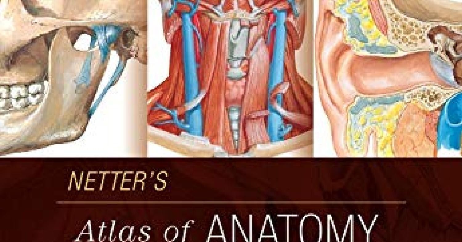 book-netter-s-atlas-of-anatomy-for-speech-swallowing-and-hearing-pdf