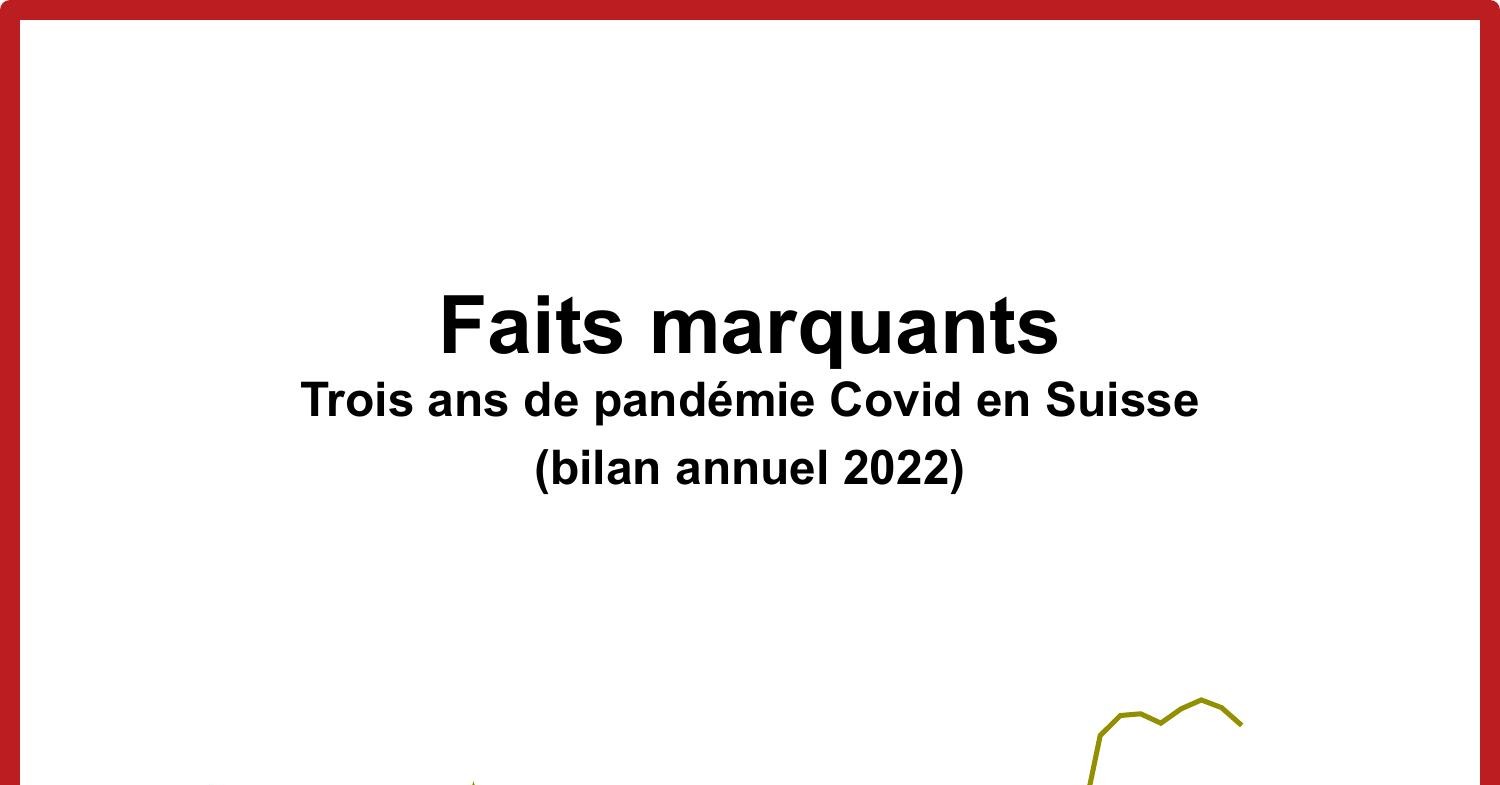 Faits Marquants CH Bilan Annuel 2022 Pdf DocDroid