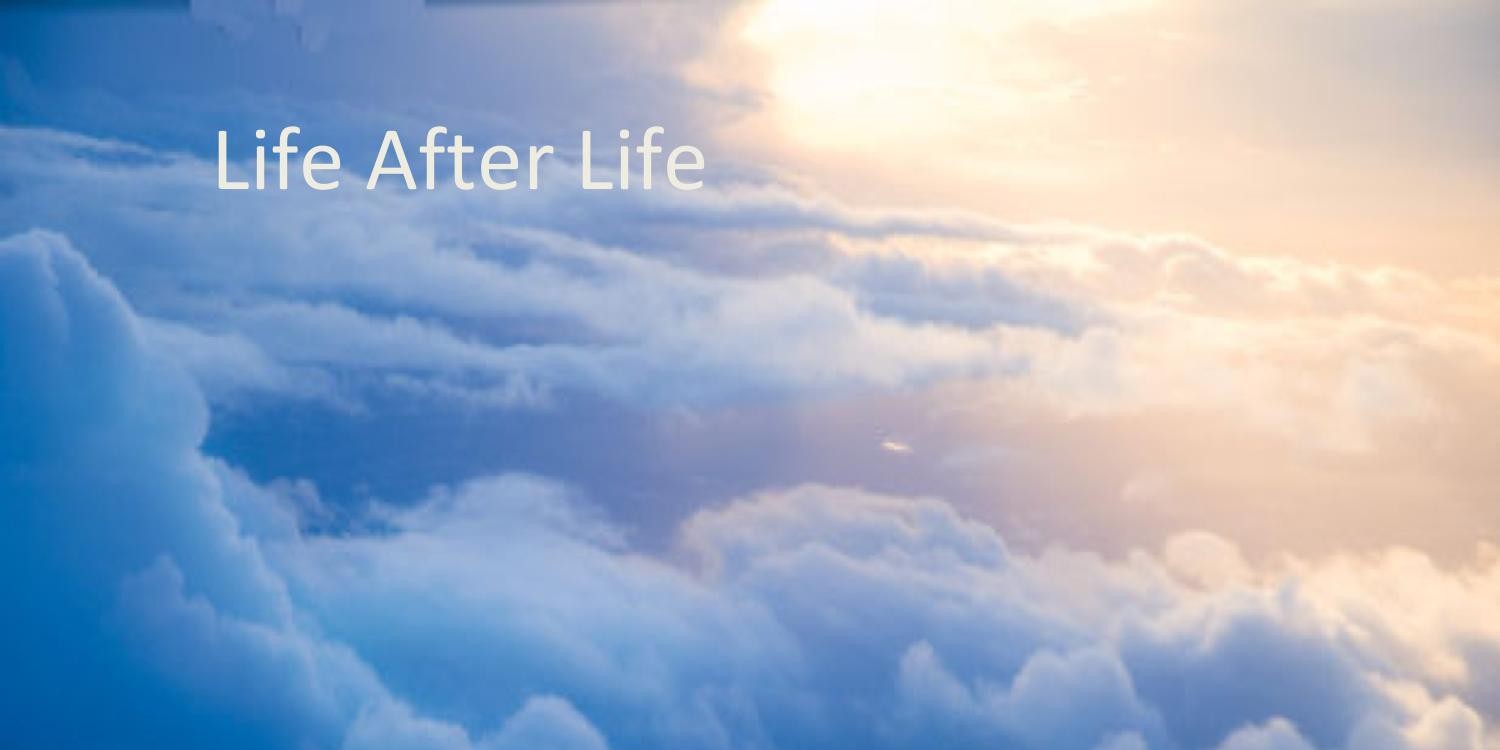 life after life after life pdf