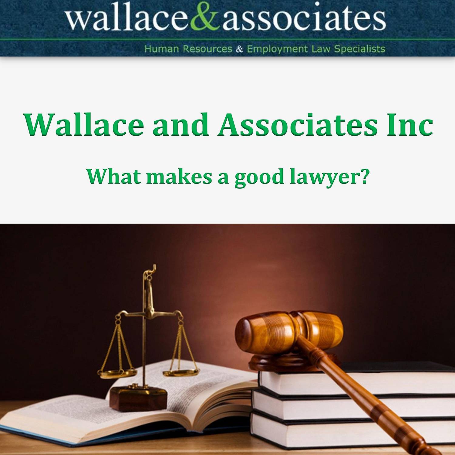 what makes a good lawyer essay