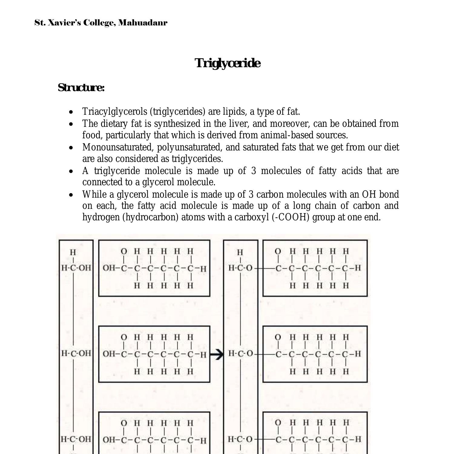 Le Nom Du Triglyceride