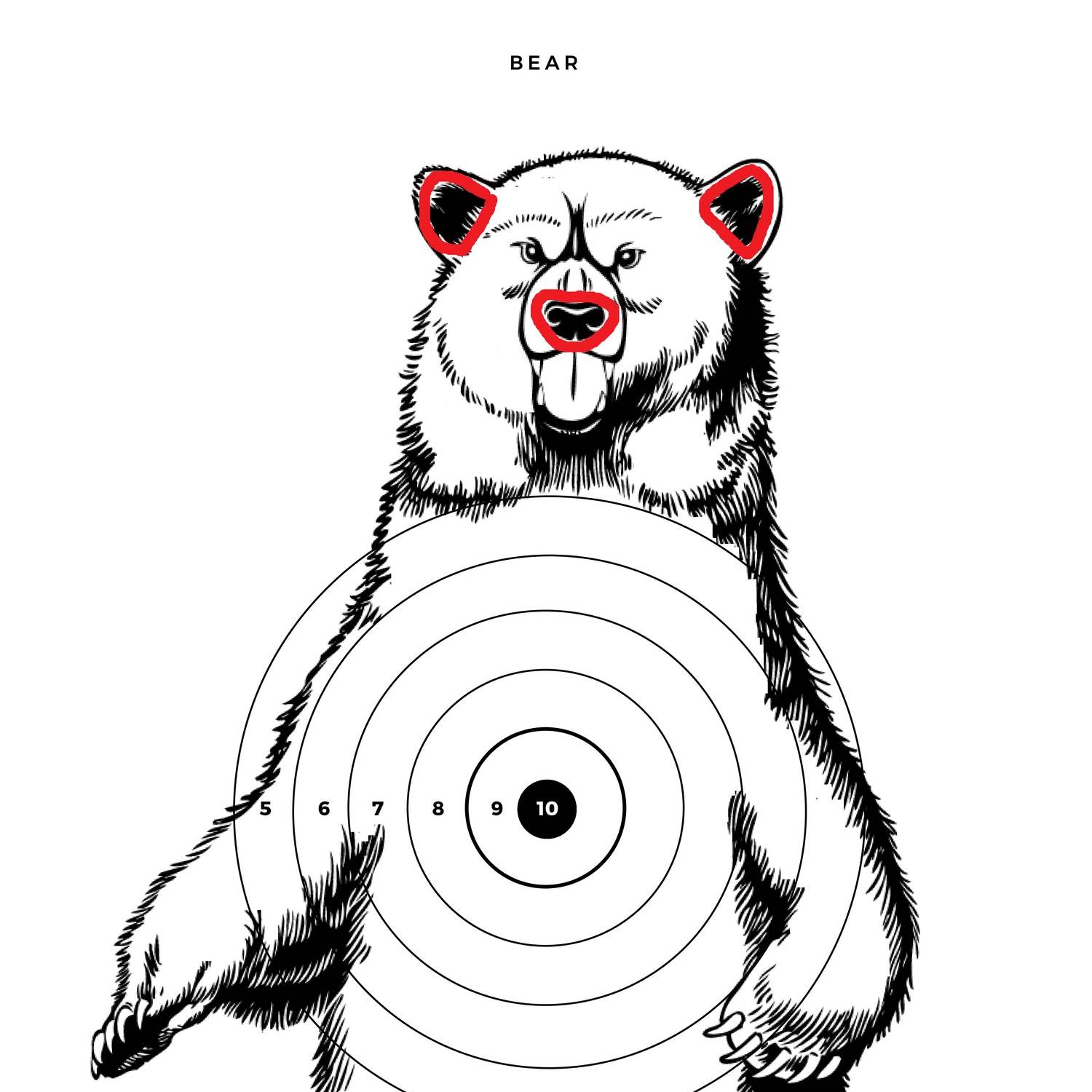 Target-Bear extra.pdf | DocDroid