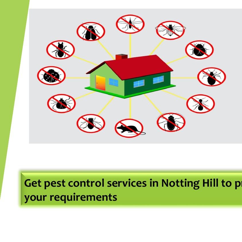 Get pest control services in Notting Hill to prevent that suits your ...