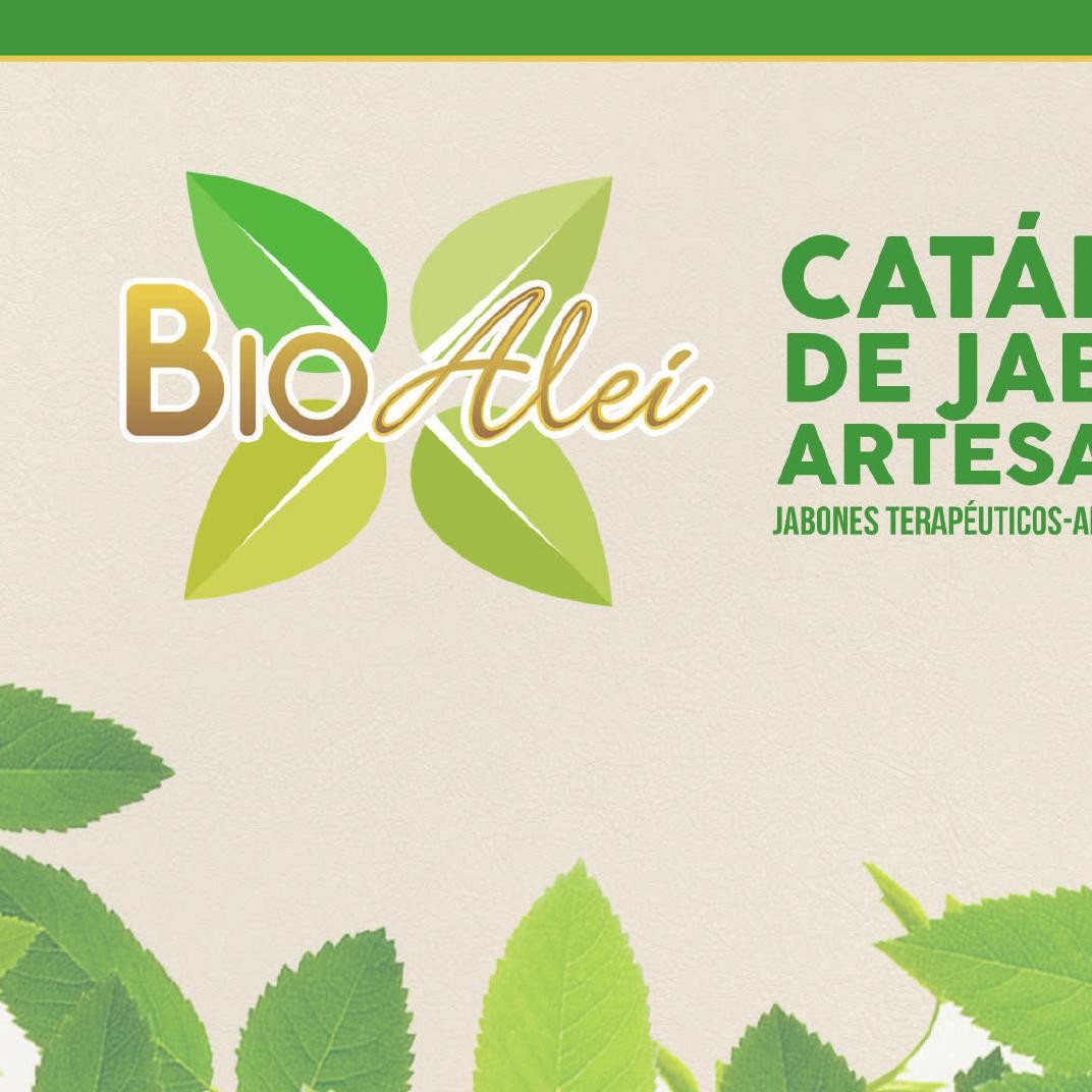 Catalogo De Jabones Artesanales Terapéuticos Aromáticos Y Decorativos De Glicerina Bioaleipdf 2666