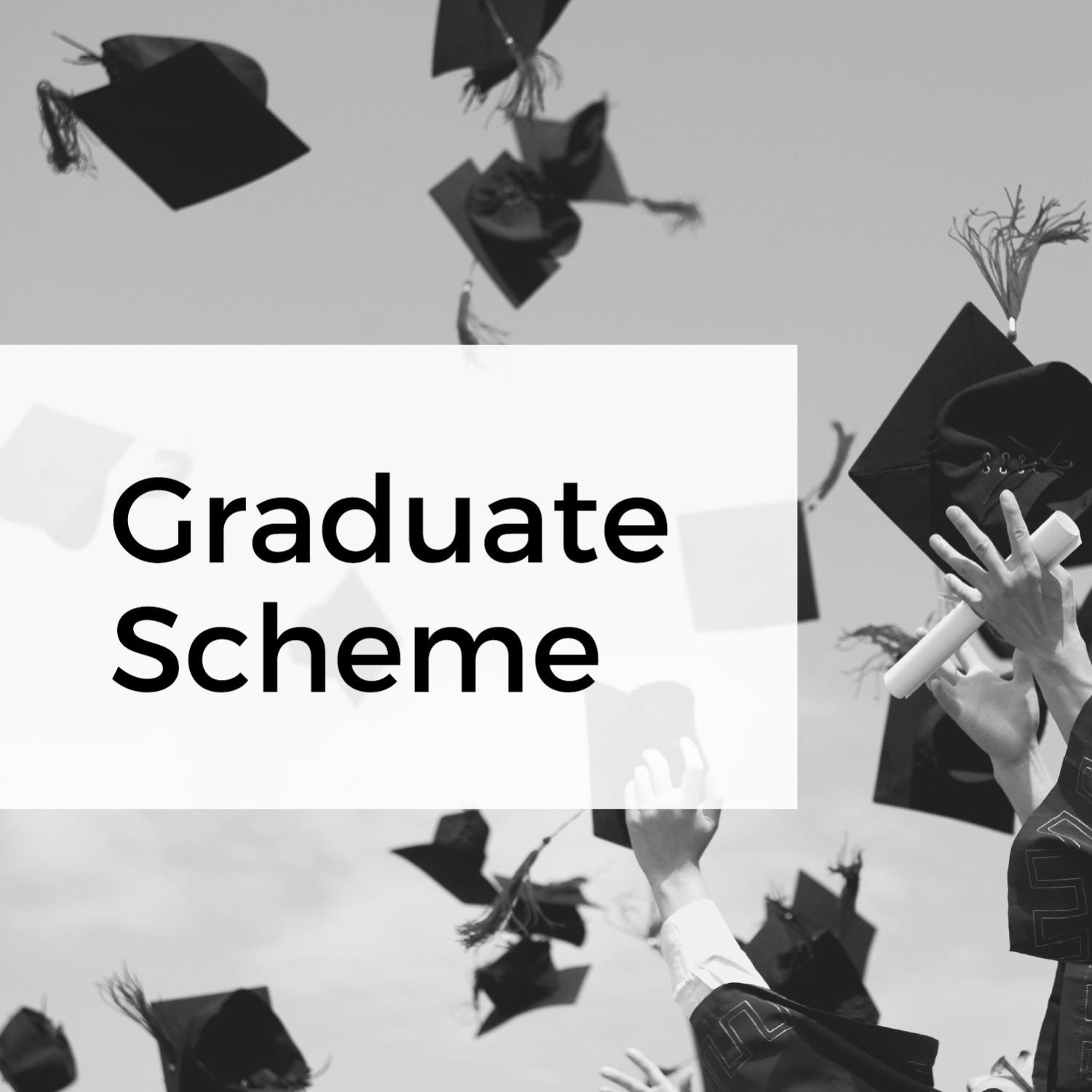 Graduate Scheme PDF.pdf DocDroid