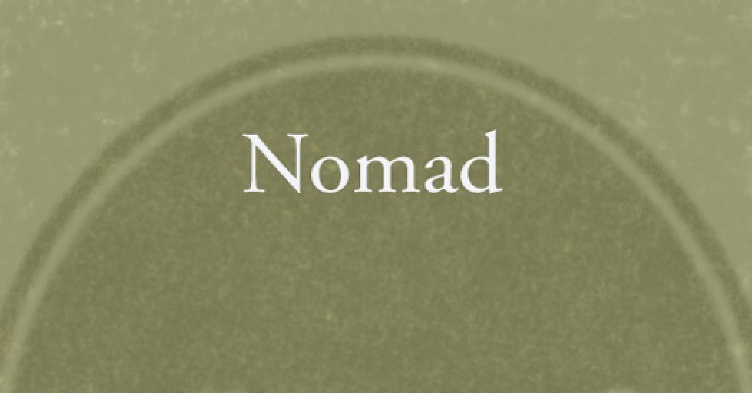 nomad-ayaan-hirsi-ali-pdf-docdroid