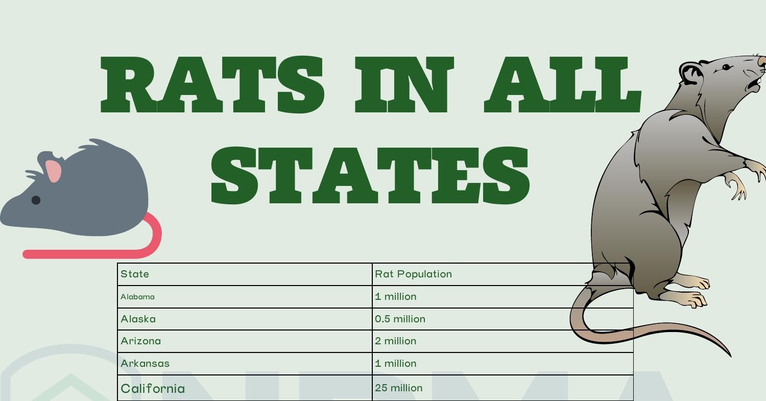 Rats By State National Pest Management Association Pdf Docdroid