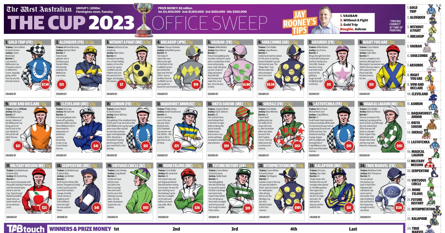 Melbourne Cup sweepstakes poster .pdf DocDroid