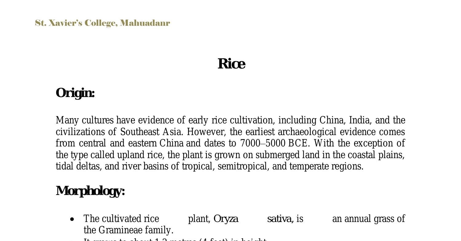 thesis about rice