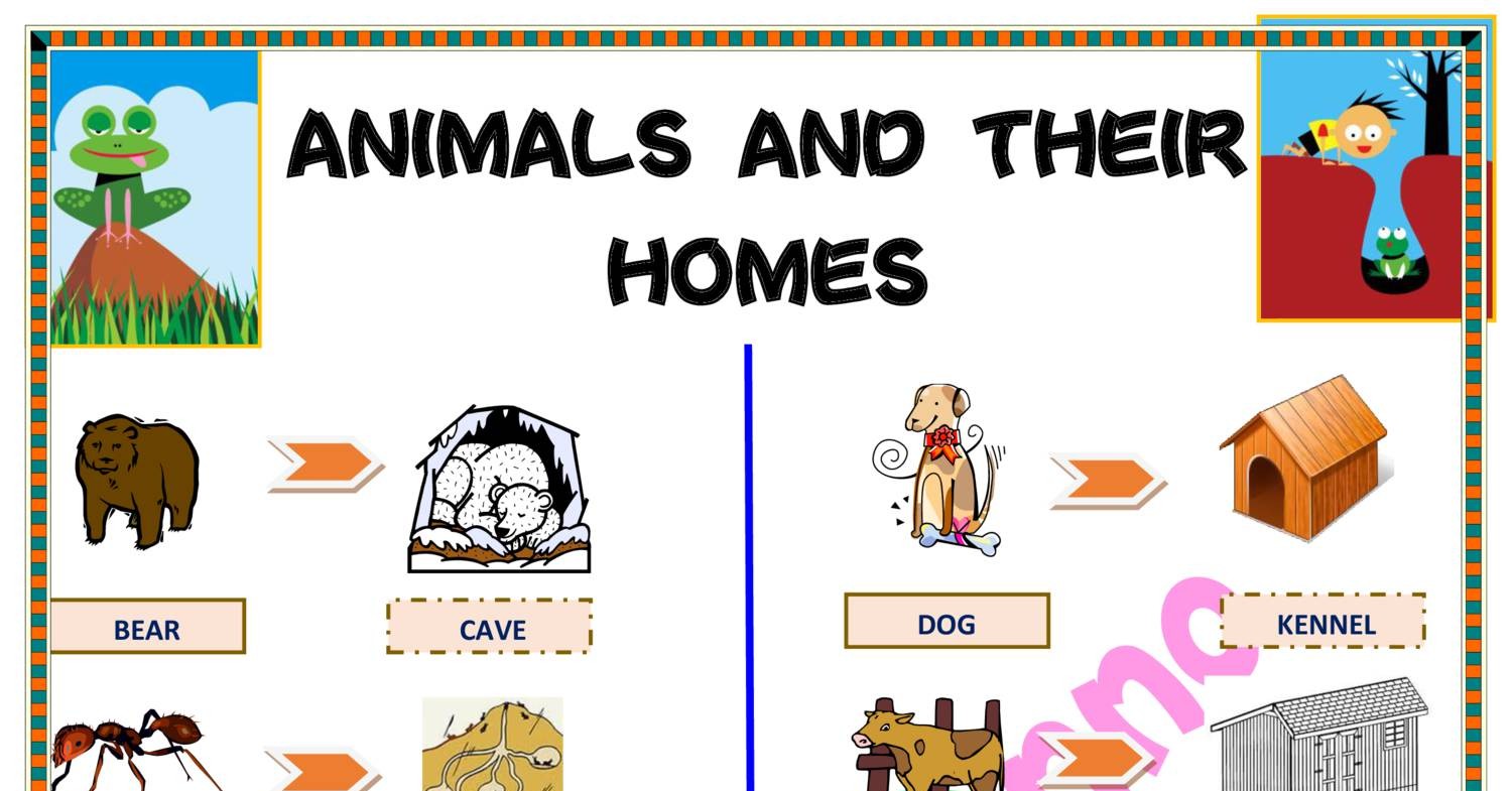 Animals And Their Home.pdf | DocDroid