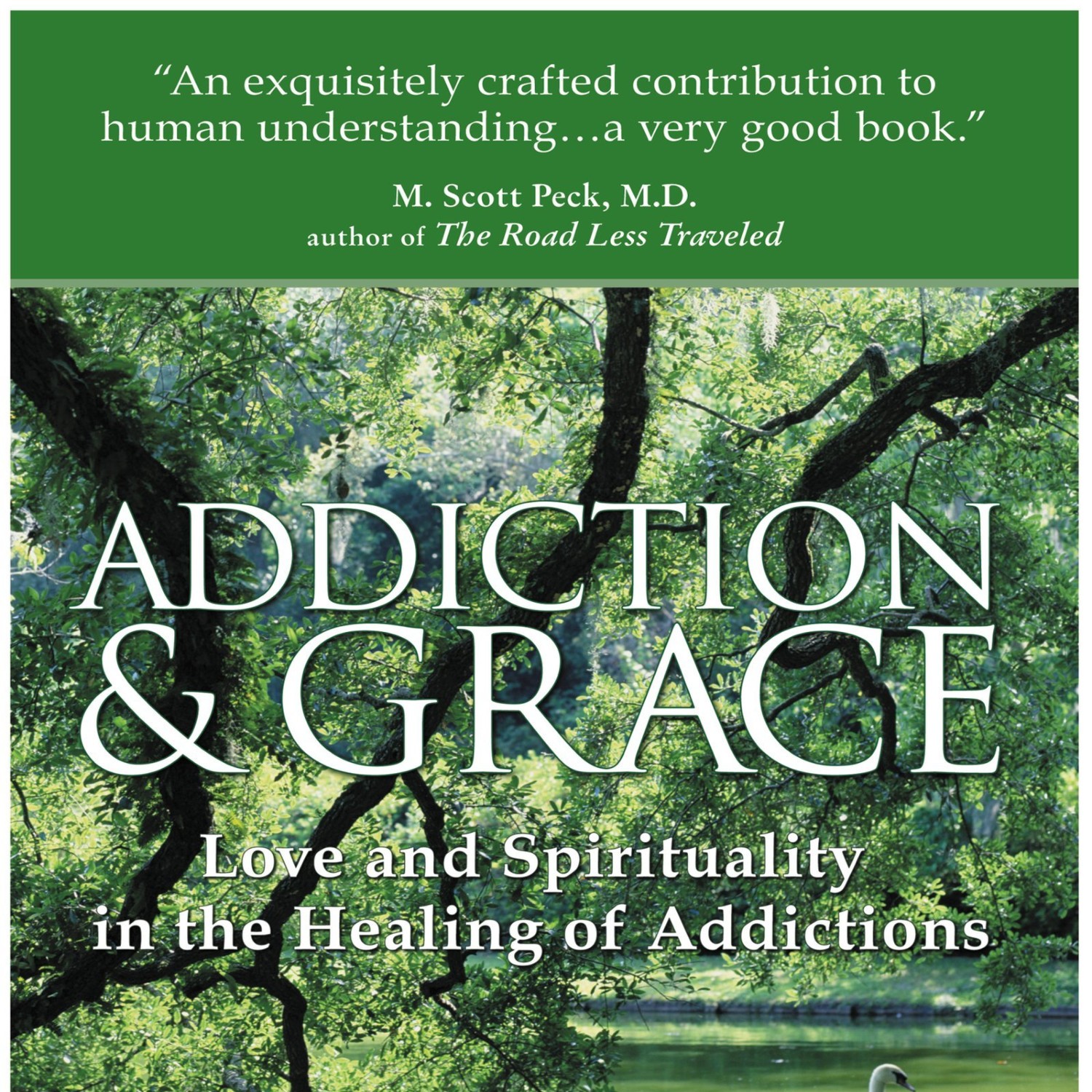 DOWNLOAD Addiction and Grace Love and Spirituality in the Healing of ...