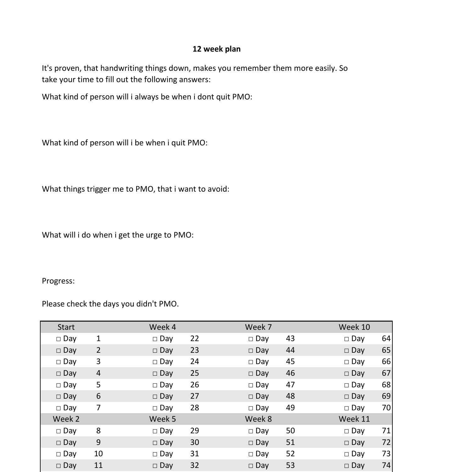 12 Week Plan Notion Template