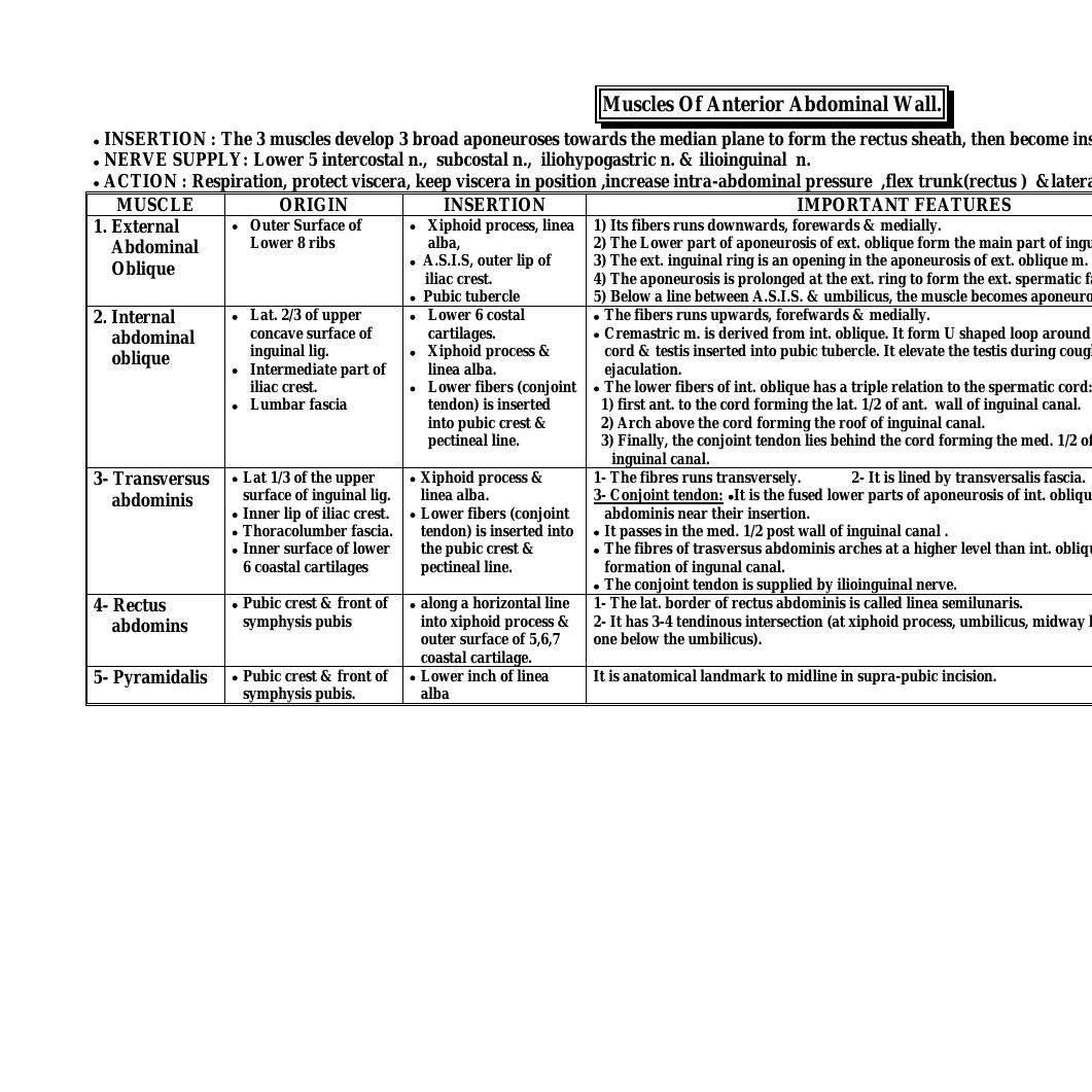 anatomy-muscles-of-anterior-abdominal-wall-copy-doc-docdroid