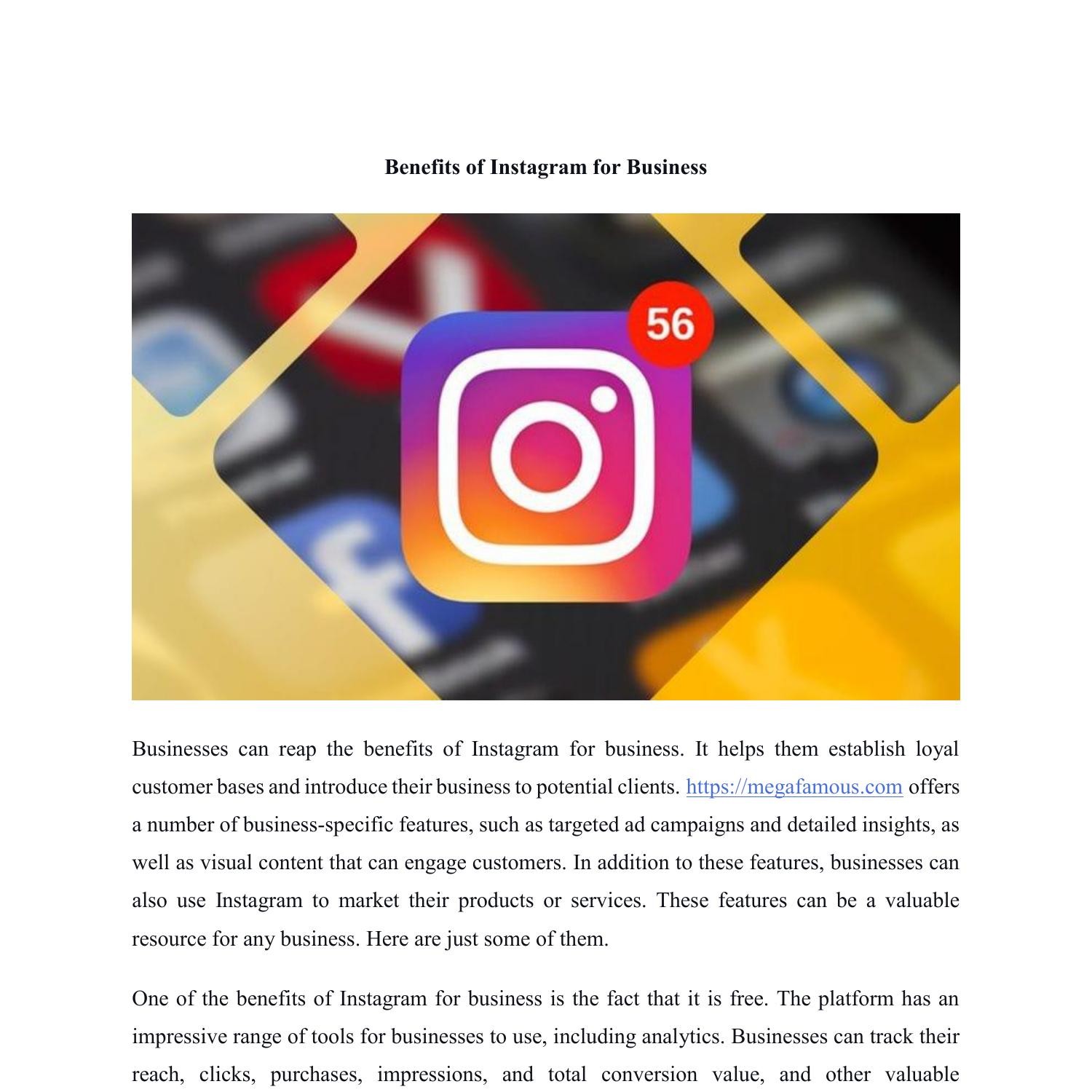 instagram business plan pdf