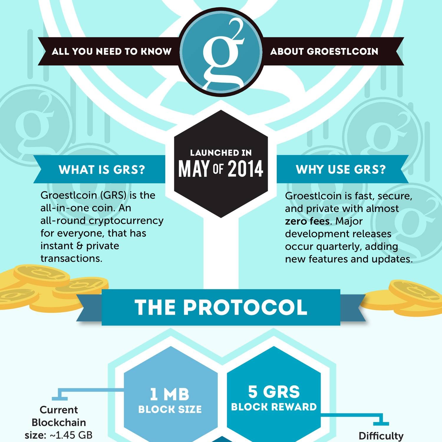 meaning of infographic in english