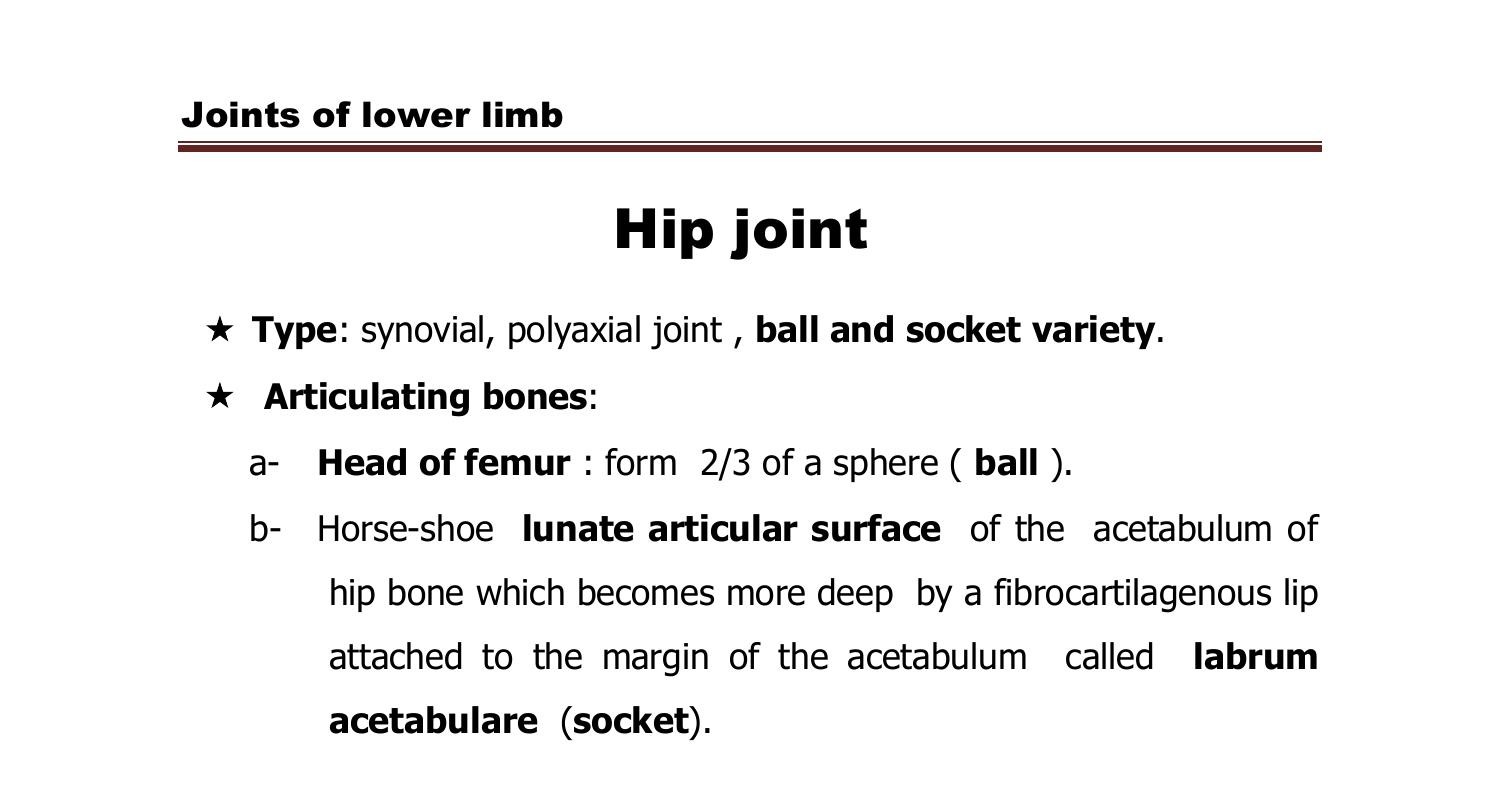 Joints of lower limb 2022.doc | DocDroid