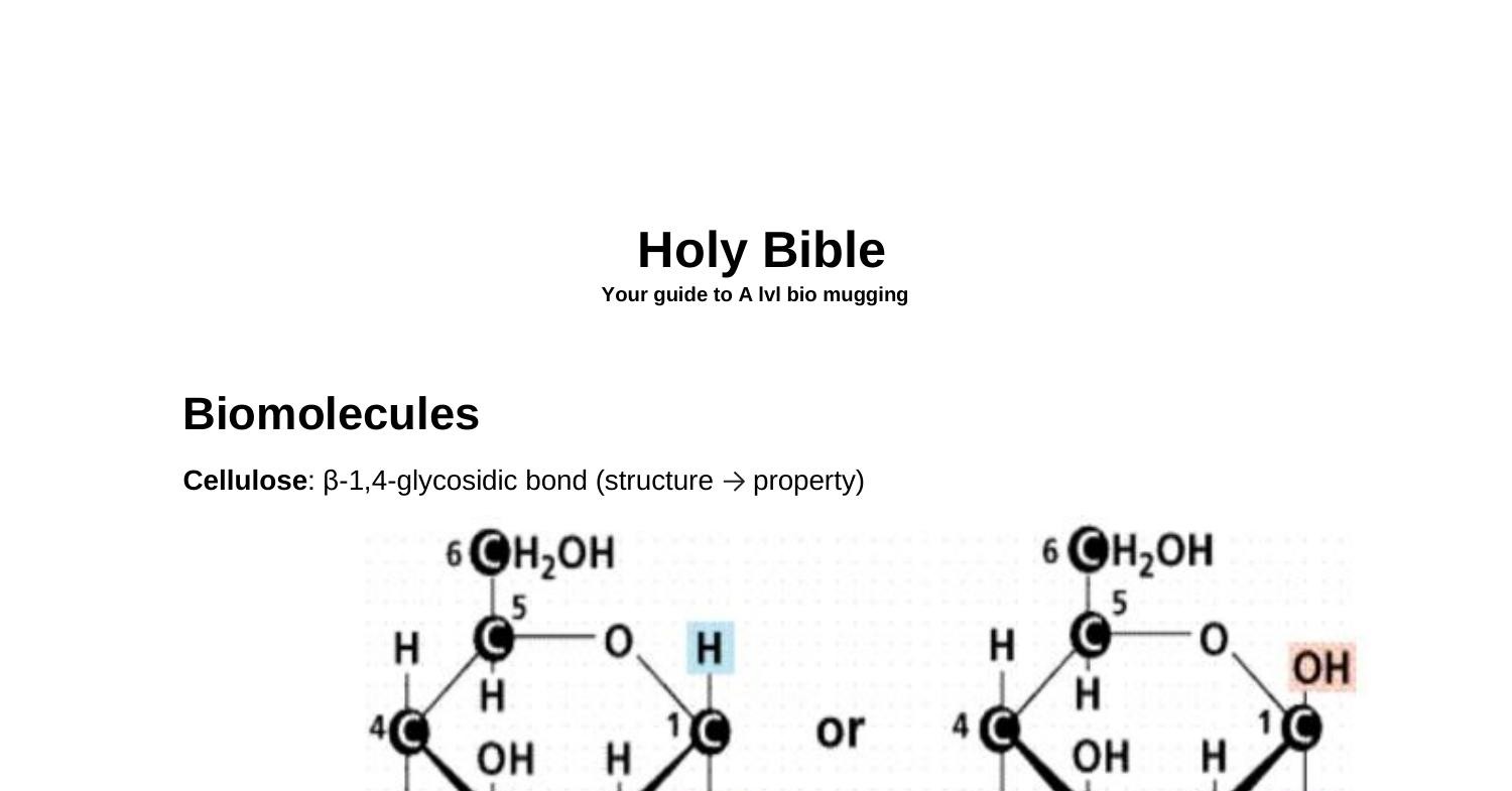 bio-bible-ver-5-docx-docdroid