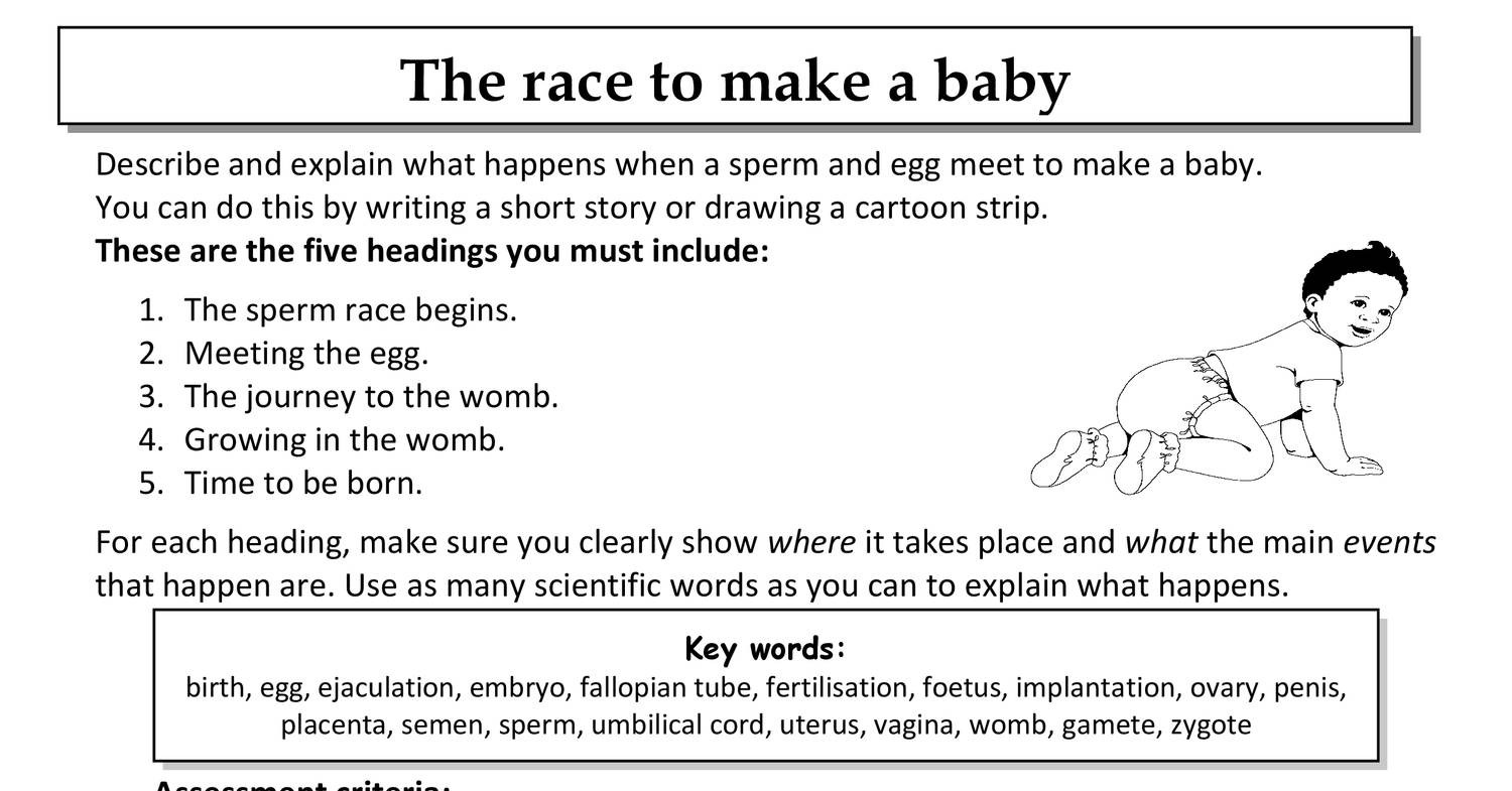 race-to-make-a-baby-written-assessment-pdf-docdroid