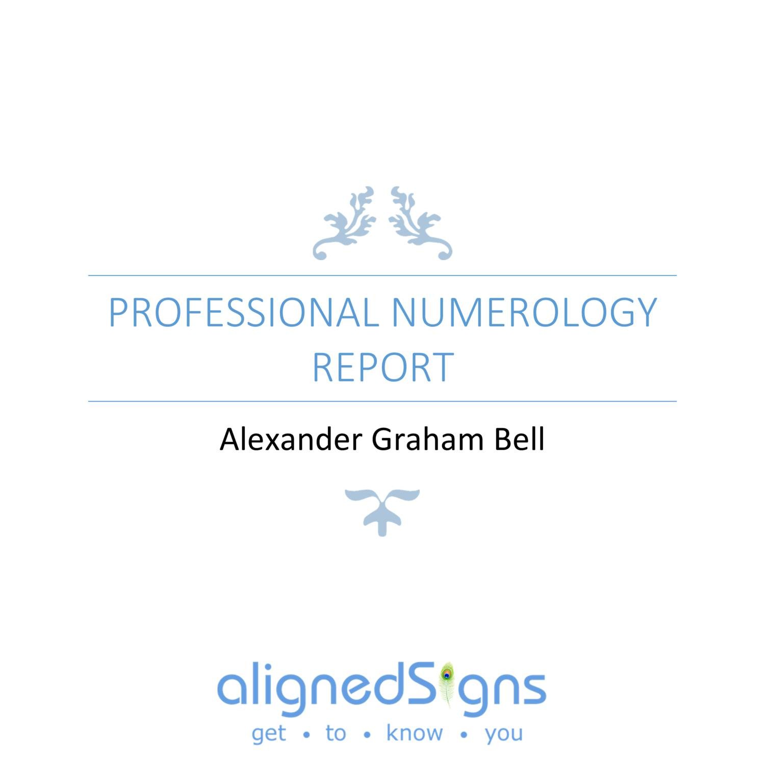 business name numerology report