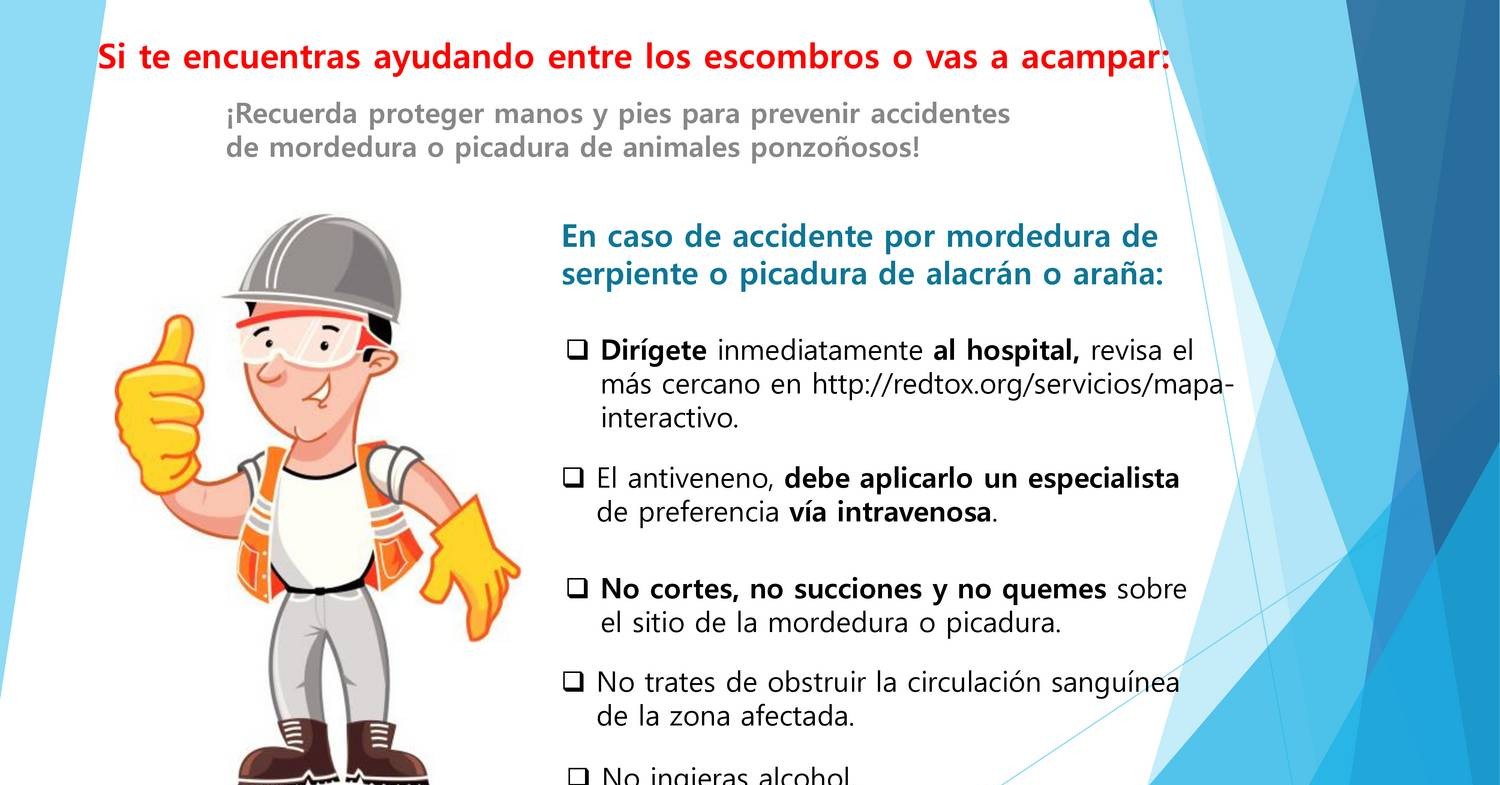 Qué Hacer En Caso Envenenamiento Por Animales V2.pdf | DocDroid