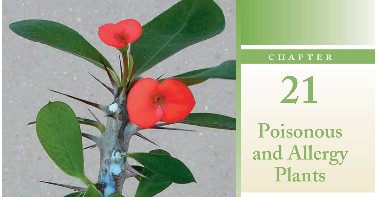 Poisonous And Allergy Plants - Reading.pdf | DocDroid