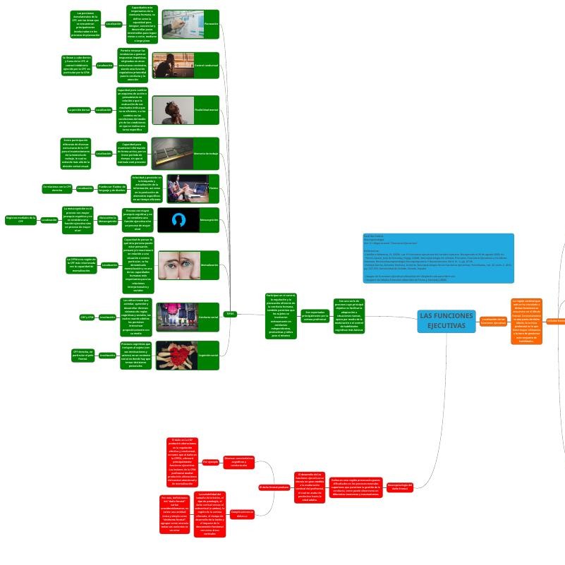 Act. 3.1 Mapa Mental “Funciones Ejecutivas”.pdf | DocDroid