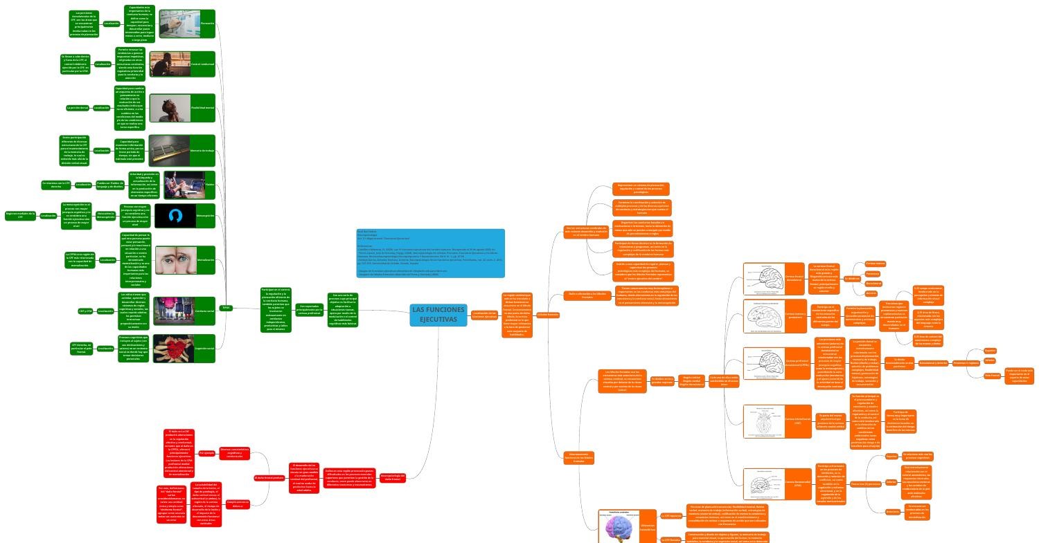 Act. 3.1 Mapa Mental “Funciones Ejecutivas”.pdf | DocDroid