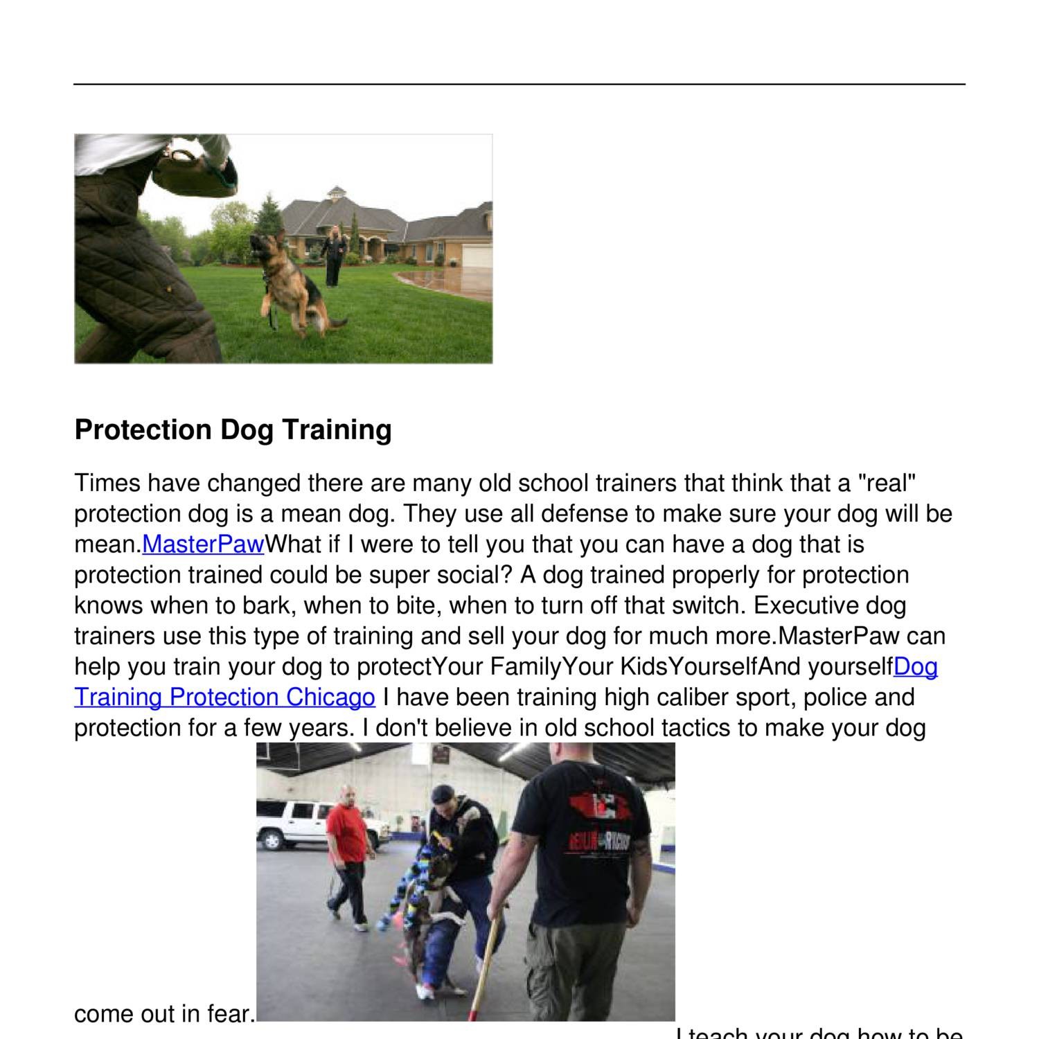 real-protection-dog-training-in-chicago-pdf-docdroid