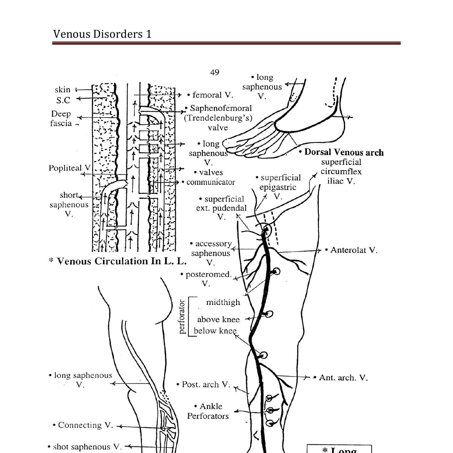 venous-disorders-1-doc-docdroid