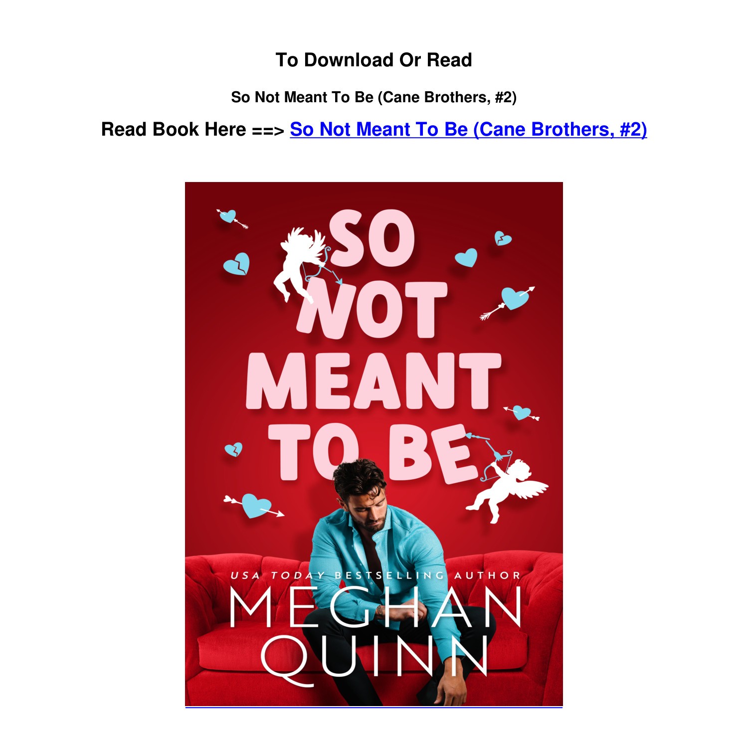 EPub Download So Not Meant To Be Cane Brothers 2 By Meghan Quinn.pdf ...